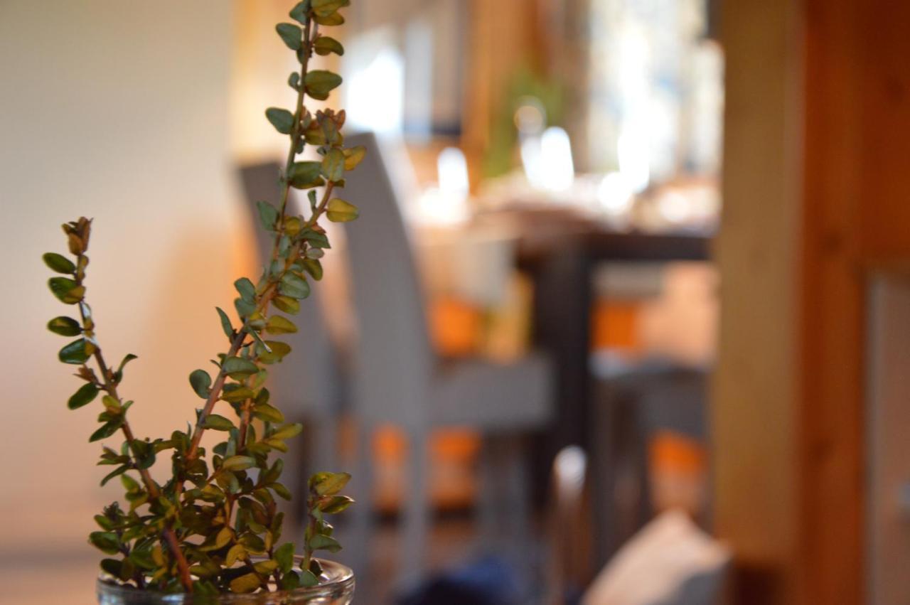 Il Nido Dei Sogni Sanzeno Apartment Ngoại thất bức ảnh